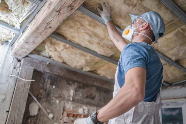 Best Affordable Insulation Services  in Las Quintas Fronterizas, TX